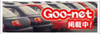 ���Îԓ��ג�